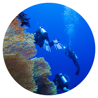 Scuba diving in Grenada. Scuba diving in Grenada.