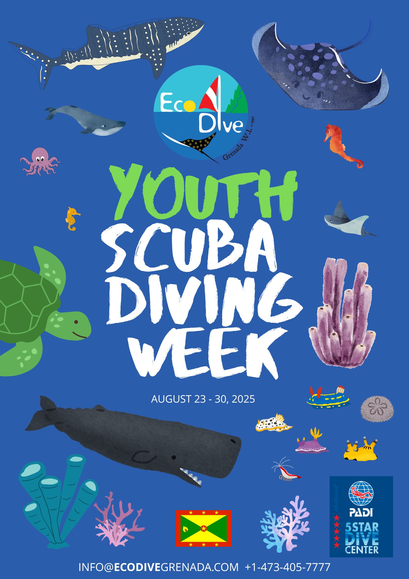Youth Scuba Week with Eco Dive PADI 5 Star in Grenada