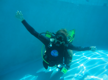 Customer Reviews Eco Dive in Grenada
