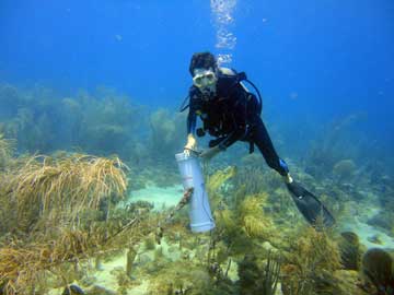 some great diving recently in our MBMPA Matt here scanning for Lionfish on Happy Valley reef