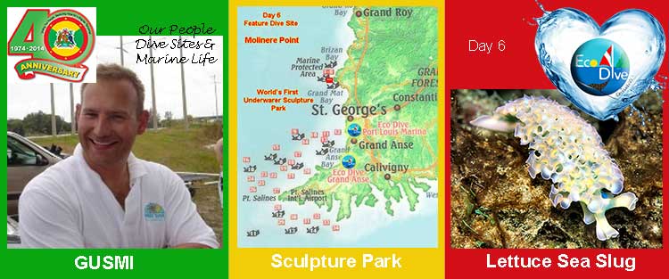 Eco Dive celebrates Grenada Underwater Sculpture Lettuce Sea Slug