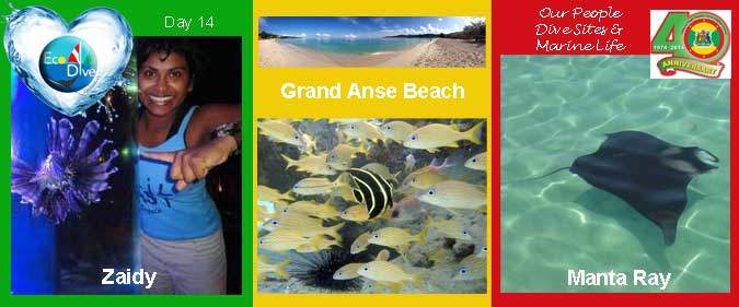eco dive celebrates grenada