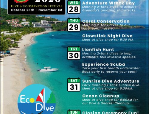 Dive and Conservation Fest DCF 2026 with Eco Dive