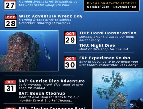 Dive and Conservation Fest DCF 2026 with Eco Dive