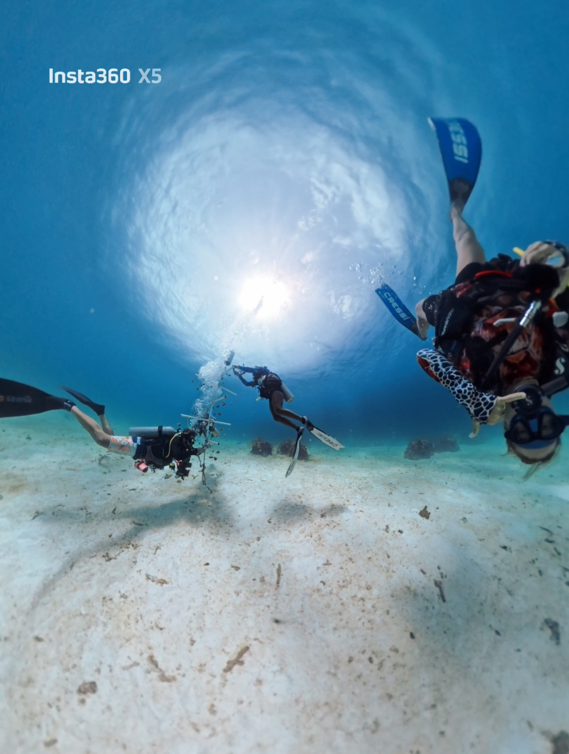 Grenada’s coral nursery with Eco Dive Marine Biologists and coral restoration at Eco Dive in Grenada