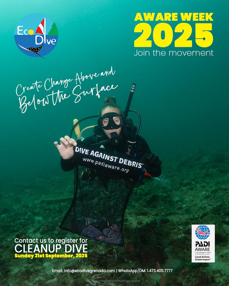 AWARE week with Eco Dive coastal clean up 2025