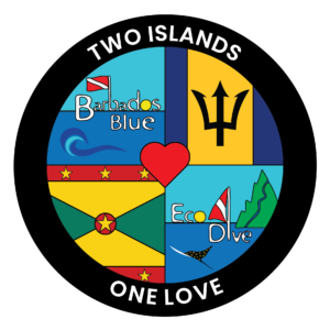 Grenada Blue Eco Dive & Barbados Blue sister dive shops. PADI 5 Star professional friendly service, Eco ocean vibes Grenada Blue Eco Dive & Barbados Blue sister dive shops. PADI 5 Star professional friendly service, Eco ocean vibes