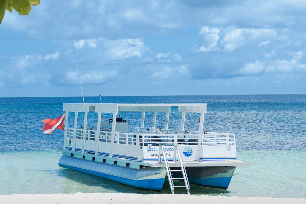 Cocoa Princess Eco Dive & Snorkel boat Scuba Diving Snorkelling Grenada Cocoa Princess