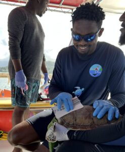 Eco Dive sea turtle research conservation Grenada