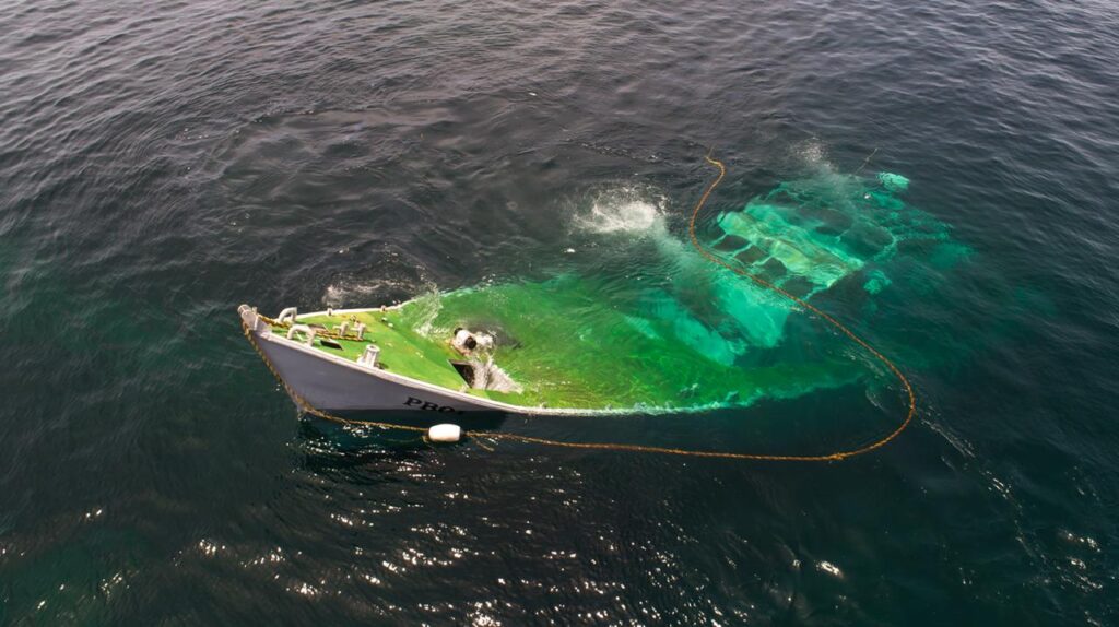 MV Tyrrel Bay starting her next chapter as an artificial reef in Grenada MV Tyrrel Bay starting her next chapter as an artificial reef in Grenada Dive Fest with Eco Dive 2018