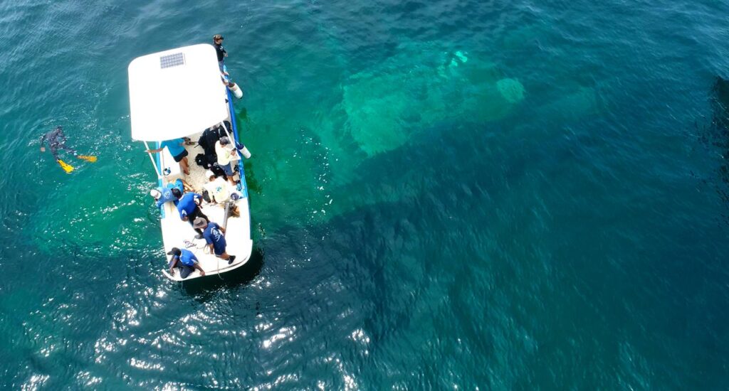 MV Tyrrel Bay starting her next chapter as an artificial reef in Grenada MV Tyrrel Bay sinking day Sept 25 2018 Dive Fest with Eco Dive