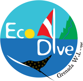 Eco Dive Logo